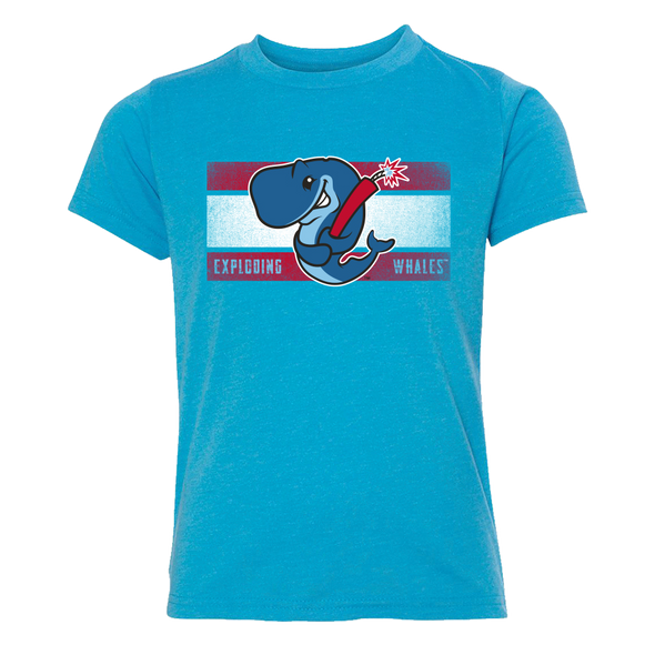 Blue t-shirt with a graphic of a whale and text on a white background